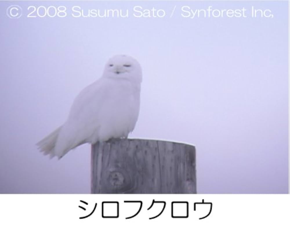 シンフォレストBlu-ray 日本百鳴鳥 202 HD ハイビジョン映像と鳴き声で愉しむ野鳥図鑑 9jupf8b Amazon.co.jp: シンフォレストBlu-ray 日本百鳴鳥 202 HD